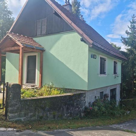 Forest Chalet Zalesina Exterior foto