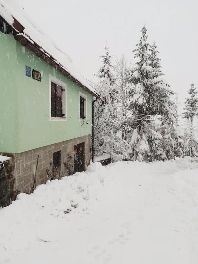 Forest Chalet Zalesina Exterior foto